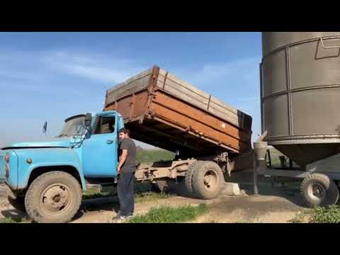 Видео: Отзыв о итальянской зерносушилке, которая окупилась за год.