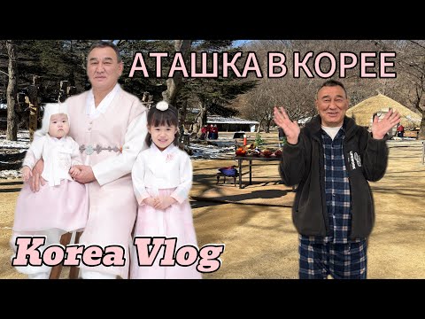 Видео: Аташка в Корее. Будни дедушки и корейских внучек