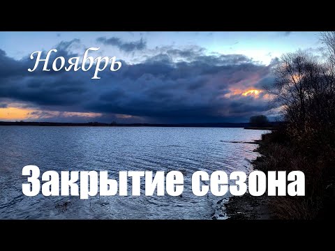 Видео: [2024] Ноябрьская рыбалка на Волге | Судак Берш в отвес | Просек | Нижегородская область