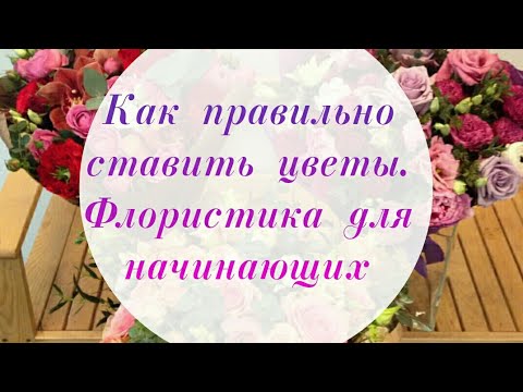 Видео: КАК ПРАВИЛЬНО СТАВИТЬ ЦВЕТЫ . ФЛОРИСТИКА ДЛЯ НАЧИНАЮЩИХ