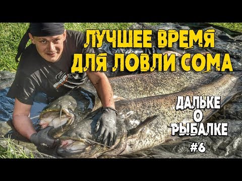 Видео: Лучшее время для ловли сома | #Дальке о рыбалке 6 | Когда клюёт сом
