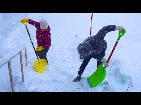 Видео: Зимнее утро в заснеженной местности | Хоккайдо, Япония Влог