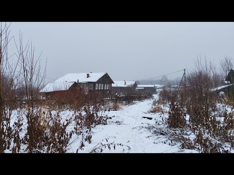 Видео: Сходил к реке проверить лодку. Первый снег начал таять. 06.11.25