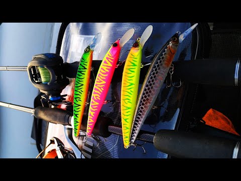 Видео: ТОП 10 ВОБЛЕРОВ С ALIEXPRESS ОТ ALLBLUE КОТОРЫЕ БУДУТ ЛОВИТЬ ВСЕГДА. СОСЕД ОБЗАВИДУЕТСЯ ТВОИМ УЛОВАМ