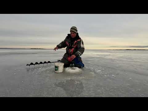 Видео: Тёплое озеро, Бересье(Beresje), Эстония.