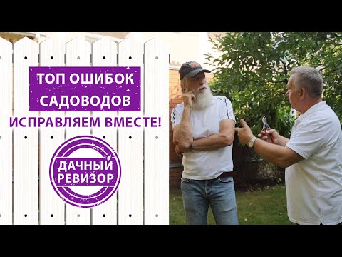 Видео: Как навести порядок в саду и собирать хороший урожай? Советы от Дачного ревизора, которые работают