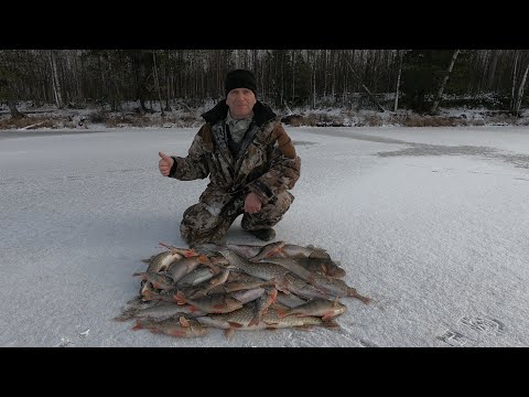 Видео: ДОЛГОЖДАННЫЙ ПЕРВЫЙ ЛЁД! НАРВАЛИСЬ НА ОКУНЯ И ЩУКУ В ПЕРВОЛЕДЬЕ! ЗИМНЯЯ РЫБАЛКА ЯМАЛ НАЧАЛО ЕСТЬ)!