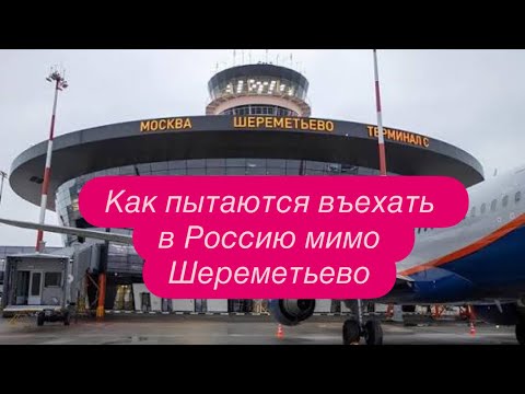Видео: Шереметьево: новый вид заработка на фильтрации. #новости #шереметьево #россия #украина 