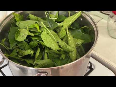 Видео: Салат из Листьев Перца - Закуска к Мясу На Зиму- 3 Способа! Pepper Leaves Salad- Appetizer for Meat!