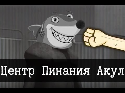 Видео: Центр пинания акул - SPC