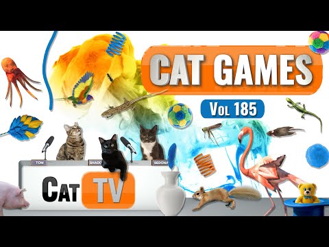 Видео: CAT Games | Ultimate Cat TV Compilation, том 185 | 8 ЧАСОВ 🐝🐞🦋🦎🦜🐜🐭🧵