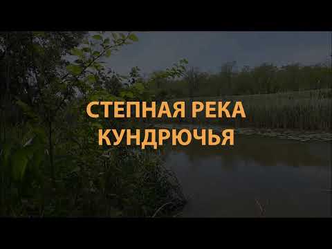 Видео: Степная река Кундрючья