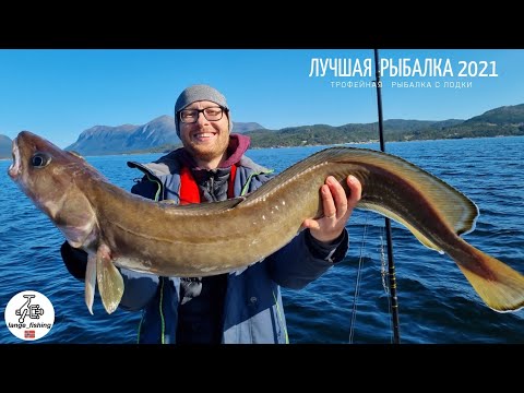 Видео: 30 КГ РЫБЫ!ЛУЧШАЯ РЫБАЛКА 2021! В ГОСТЯХ У WOW FISHING! Трофейная РЫБАЛКА с Лодки!Рыбалка в Норвегии