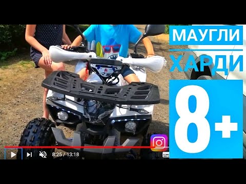 Видео: Mowgli Харди 8+ - популярная модель 2019 года. Доставка нашему клиенту.