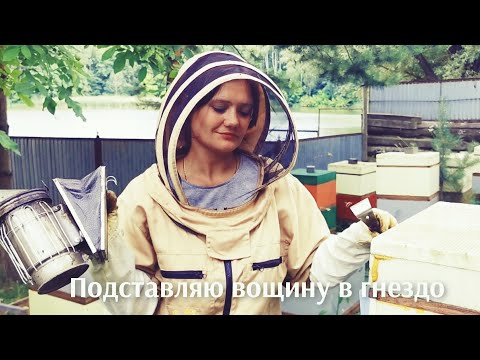 Видео: Как я добавляю вощину в пчелиные семьи)