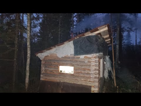 Видео: ЖИВЁМ НА ДАЛЬНЕЙ ИЗБЕ. НАШЛИ ЗИМОВЬЕ СТАРОГО ОХОТНИКА. НО БЫЛО УЖЕ ПОЗДНО...