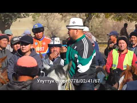 Видео: Нурбек чон той берди улагы жакшы болду