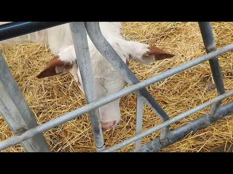 Видео: Экскурсия по ферме M2