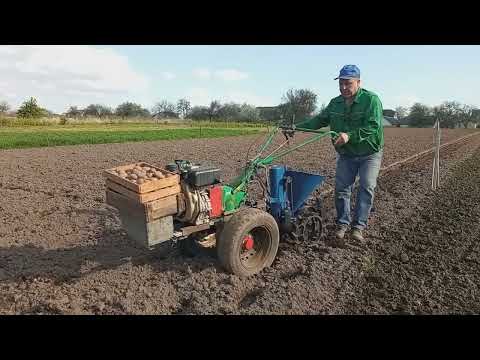 Видео: Посадка картоплі 2023