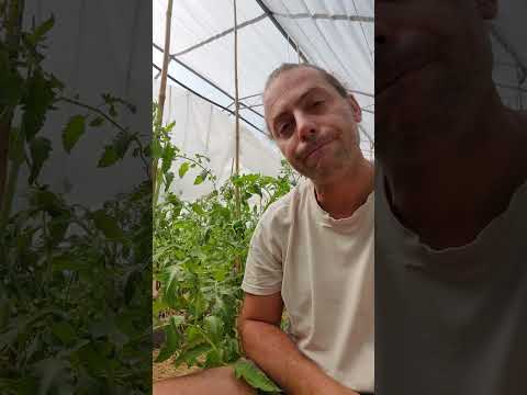 Видео: Растенията, грижа и предпазване от насекоми.