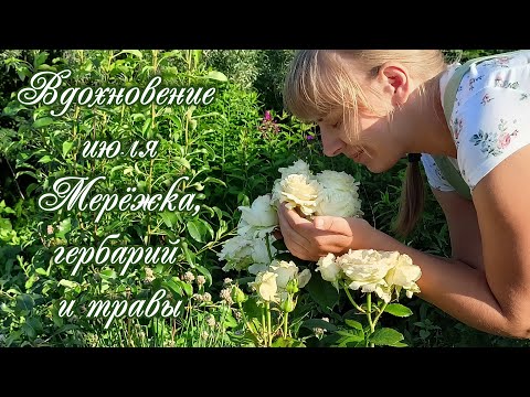 Видео: Вдохновение июля. Часть 1. Мерёжка, журнал для гербария, травы.