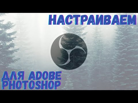 Видео: Урок 2. Закрепляем камеру в OBS Studio для Adobe Photoshop.
