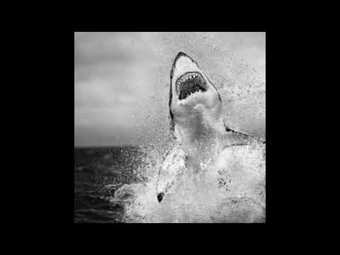 Видео: Гио Пика "STILL HUNGRY" featuring Каспийский Груз | Piano Boom Bap Instrumental 2025