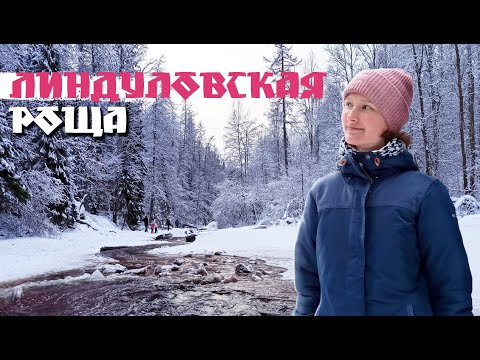 Видео: Линдуловская роща зимой | Интересные места Ленинградской области