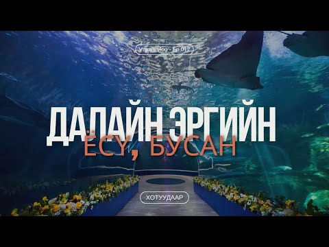 Видео: Далайн эргийн Ёсү, Бусан хотуудаар