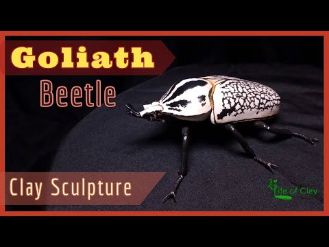 Видео: Лепим жука-гиганта (Goliathus orientalis)_Полимерная глина_Жизнь из глины