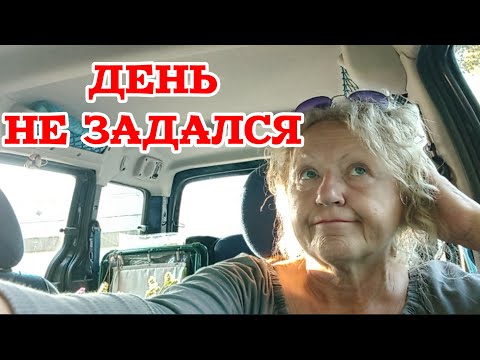 Видео: Сама накаркала: вот и ответка. Конкуренты снижают цены на цветы, такого я не ожидала. 