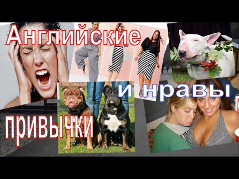Видео: МОИ ИСТОРИИ.  О жизни и привычках англичан.
