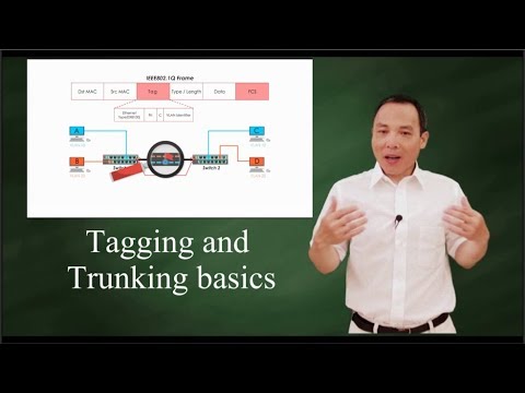 Видео: IEEE 802 1Q: Маркировка и транкинг 101