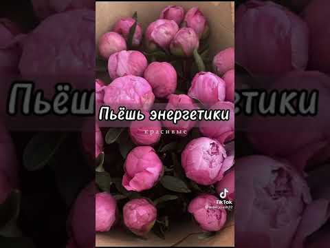 Видео: Пой эту песню если ты... (◍•ᴗ•◍)