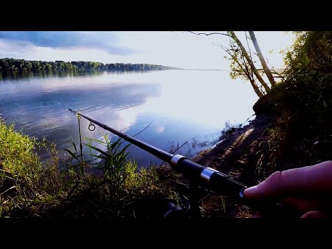 Видео: Этот МОНСТР чуть не утащил КАРПОВИК!!! РЫБАЛКА на ОБИ 3 -и сутки, рыбачу и живу на РЕКЕ!
