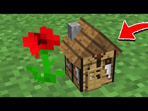 Видео: Я ЖИВУ В САМОМ МАЛЕНЬКОМ ДОМЕ В МАЙНКРАФТ БЕЗ МОДОВ!
