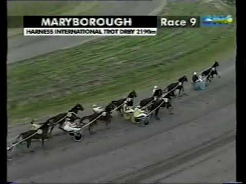 Видео: Викторианские рысаки Дерби Мэриборо 2003 года