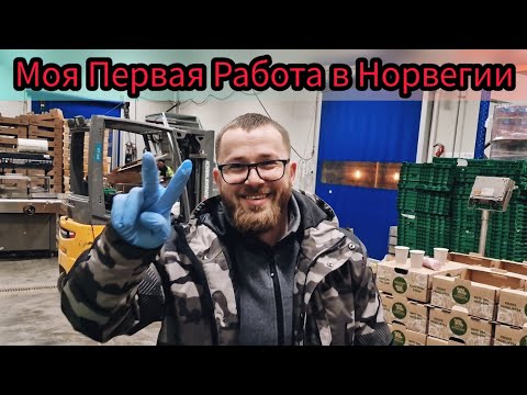 Видео: Моя Первая Работа в Норвегии