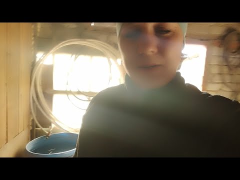 Видео: #Виктория-птичка#деревня #птицы #бизнес 