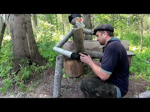 Видео: Лесной друг