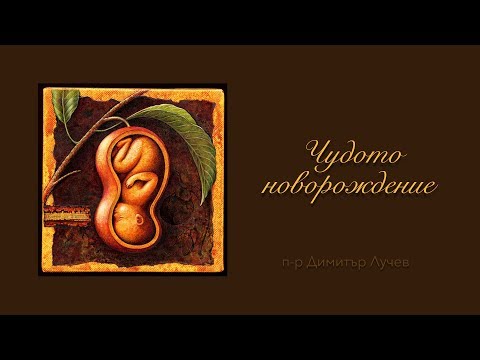 Видео: "Чудото новорождение: умира ли човешкият дух в грехопадението?" - п-р Димитър Лучев