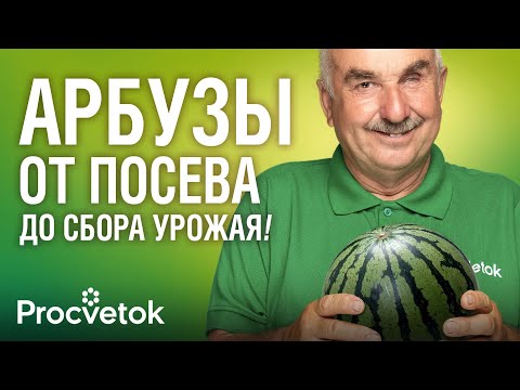 Видео: У ВАС ТОЧНО ВЫРАСТУТ СЛАДКИЕ АРБУЗЫ И ДЫНИ, если будете знать эти секреты!