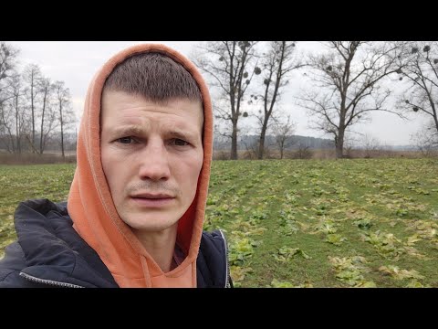 Видео: Мінус 8 що наробив з пекінкою ? Як тепер слухати людей .