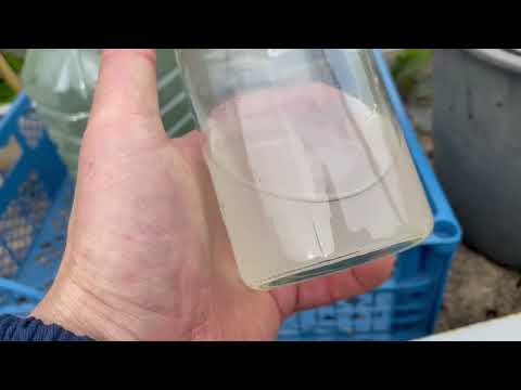 Видео: Посадка чеснока