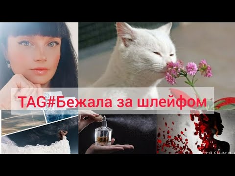 Видео: TAG #Бежалазашлейфом...