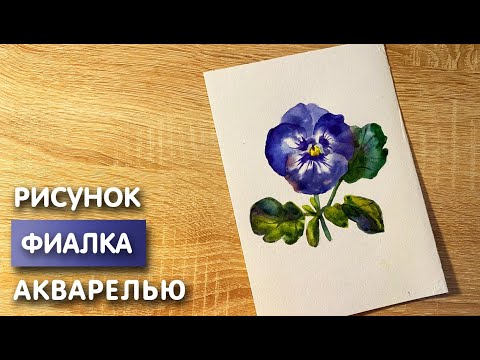 Видео: Как нарисовать фиалку карандашом и акварелью начинающим | Рисунок для детей