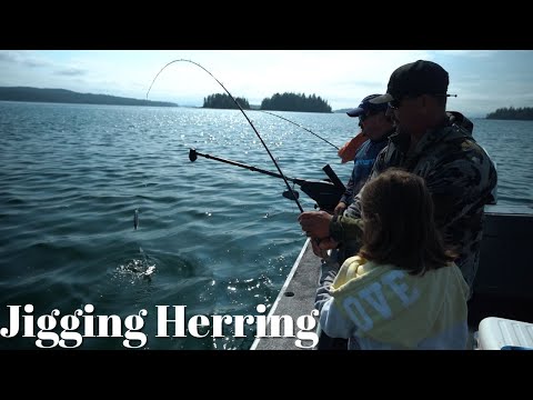 Видео: Как правильно ловить сельдь на джиг