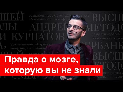 Видео: Правда о мозге для интеллектуального меньшинства