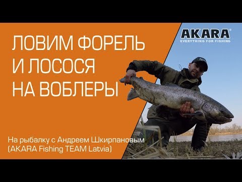 Видео: Ловим форель и лосося на воблеры