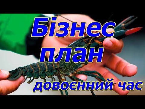 Видео: Що потрібно знати для створення бізнес плану для ферми АККР